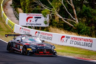 12h Bathurst 2025 -  Meguiar&rsquo;s Bathurst 12 Hour - Intercontinental GT Challenge Round 1 - Foto: Gruppe C Photography; #04 Mercedes-AMG GT3, Grove Racing: Stephen Grove, Brenton Grove, Fabian Schiller
 | Gruppe C Photography