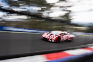 12h Bathurst 2026 -  Meguiar&rsquo;s Bathurst 12 Hour - Intercontinental GT Challenge Round 1 - Foto: Gruppe C Photography; #93 Lamborghini Huracan GT3 EVO II, Wall Racing: Marco Mapelli, Antonio D'Alberto, Grant Denyer, Adrian Deitz
 | Gruppe C Photography