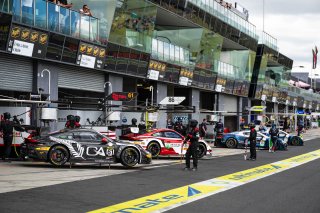 12h Bathurst 2026 -  Meguiar&rsquo;s Bathurst 12 Hour - Intercontinental GT Challenge Round 1 - Foto: Gruppe C Photography; #61 Porsche 911 GT3 R (992), EBM: Ricardo Feller, Laurin Heinrich, Klaus Bachler
 | Gruppe C Photography