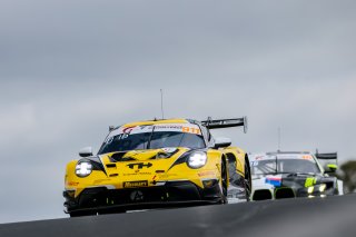 12h Bathurst 2026 -  Meguiar&rsquo;s Bathurst 12 Hour - Intercontinental GT Challenge Round 1 - Foto: Gruppe C Photography; #911 Porsche 911 GT3 R (992), Absolute Racing: Matt Campbell, Alessio Picariello, Bastian Buus
 | Gruppe C Photography