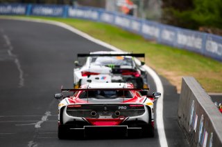 12h Bathurst 2026 -  Meguiar&rsquo;s Bathurst 12 Hour - Intercontinental GT Challenge Round 1 - Foto: Gruppe C Photography; #26 Ferrari 296 GT3, Arise Racing GT: Jaxon Evans, Davide Rigon, Daniel Serra
 | Gruppe C Photography