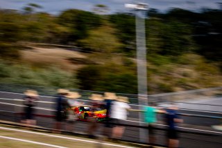 12h Bathurst 2025 -  Meguiar&rsquo;s Bathurst 12 Hour - Intercontinental GT Challenge Round 1 - Foto: Gruppe C Photography; #26 Ferrari 296 GT3, Arise Racing GT: Chaz Mostert, Will Brown, Daniel Serra
 | Gruppe C Photography