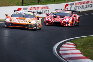 12h Bathurst 2026 -  Meguiar&rsquo;s Bathurst 12 Hour - Intercontinental GT Challenge Round 1 - Foto: Gruppe C Photography; #193 Ferrari 296 GT3, Ziggo Sport Tempesta by ARGT: Ryan Wood, Christopher Froggatt, Jonathan Hui, Lorenzo Patrese
 | Gruppe C Photography