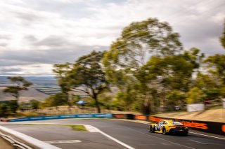 12h Bathurst 2025 -  Meguiar&rsquo;s Bathurst 12 Hour - Intercontinental GT Challenge Round 1 - Foto: Gruppe C Photography; #911 Porsche 911 GT3 R (992), Absolute Racing: Matt Campbell, Ayhancan G&uuml;ven, Alessio Picariello
 | Gruppe C Photography