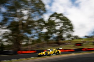 12h Bathurst 2026 -  Meguiar&rsquo;s Bathurst 12 Hour - Intercontinental GT Challenge Round 1 - Foto: Gruppe C Photography; #911 Porsche 911 GT3 R (992), Absolute Racing: Matt Campbell, Alessio Picariello, Bastian Buus
 | Gruppe C Photography