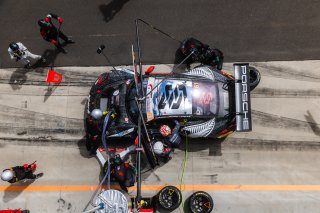 12h Bathurst 2026 -  Meguiar&rsquo;s Bathurst 12 Hour - Intercontinental GT Challenge Round 1 - Foto: Gruppe C Photography; #61 Porsche 911 GT3 R (992), EBM: Ricardo Feller, Laurin Heinrich, Klaus Bachler
 | SRO Motorsports Group