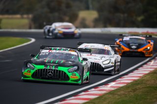 12h Bathurst 2026 -  Meguiar&rsquo;s Bathurst 12 Hour - Intercontinental GT Challenge Round 1 - Foto: Gruppe C Photography; #222 Mercedes-AMG GT3 EVO, Scott Taylor Motorsport: Cameron Waters, Chaz Mostert, Thomas Randle
 | Gruppe C Photography