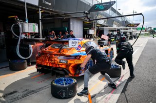 12h Bathurst 2026 -  Meguiar&rsquo;s Bathurst 12 Hour - Intercontinental GT Challenge Round 1 - Foto: Gruppe C Photography; #75 Mercedes-AMG GT3 EVO, 75 Express: Kenny Habul, Luca Stolz, Jules Gounon
 | Gruppe C Photography