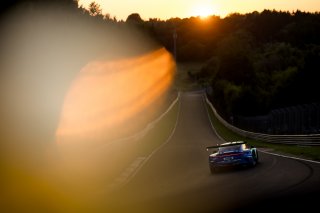 53. ADAC RAVENOL 24h N&uuml;rburgring 2025 - Foto: Gruppe C Photography ; #33 Porsche 911 GT3 R (992), Falken Motorsports: Julien Andlauer, Nico Menzel, Sven M&uuml;ller, Alessio Picariello
 | Gruppe C Photography