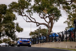 12h Bathurst 2026 -  Meguiar&rsquo;s Bathurst 12 Hour - Intercontinental GT Challenge Round 1 - Foto: Gruppe C Photography; #64 Ford Mustang GT3, HRT Ford Racing: Dennis Olsen, Christopher Mies, Broc Feeney
 | Gruppe C Photography