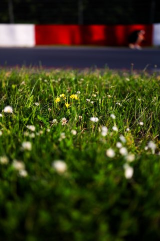 53. ADAC RAVENOL 24h N&uuml;rburgring 2025 - Foto: Gruppe C Photography | Gruppe C Photography