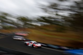 12h Bathurst 2026 -  Meguiar&rsquo;s Bathurst 12 Hour - Intercontinental GT Challenge Round 1 - Foto: Gruppe C Photography; #55 Audi RB LMS GT3 Evo II, Jamec Racing/Team MPC: Brad Schumacher, Christopher Haase, Will Brown
 | Gruppe C Photography
