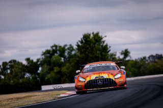 12h Bathurst 2025 -  Meguiar&rsquo;s Bathurst 12 Hour - Intercontinental GT Challenge Round 1 - Foto: Gruppe C Photography; #75 Mercedes-AMG GT3, SunEnergy1 Racing: Kenny Habul, Jules Gounon, Luca Stolz
 | Gruppe C Photography