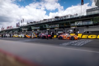 12h Bathurst 2026 -  Meguiar&rsquo;s Bathurst 12 Hour - Intercontinental GT Challenge Round 1 - Foto: Gruppe C Photography; #75 Mercedes-AMG GT3 EVO, 75 Express: Kenny Habul, Luca Stolz, Jules Gounon
 | Gruppe C Photography