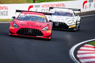 12h Bathurst 2026 -  Meguiar&rsquo;s Bathurst 12 Hour - Intercontinental GT Challenge Round 1 - Foto: Gruppe C Photography; #888 Mercedes-AMG GT3 EVO, Mercedes-AMG Team GMR: Maro Engel, Mikael Grenier, Maxime Martin
 | SRO Motorsports Group