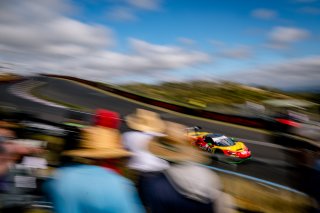 12h Bathurst 2025 -  Meguiar&rsquo;s Bathurst 12 Hour - Intercontinental GT Challenge Round 1 - Foto: Gruppe C Photography; #26 Ferrari 296 GT3, Arise Racing GT: Chaz Mostert, Will Brown, Daniel Serra
 | Gruppe C Photography