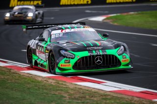 12h Bathurst 2026 -  Meguiar&rsquo;s Bathurst 12 Hour - Intercontinental GT Challenge Round 1 - Foto: Gruppe C Photography; #222 Mercedes-AMG GT3 EVO, Scott Taylor Motorsport: Cameron Waters, Chaz Mostert, Thomas Randle
 | Gruppe C Photography