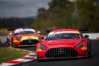 12h Bathurst 2026 -  Meguiar&rsquo;s Bathurst 12 Hour - Intercontinental GT Challenge Round 1 - Foto: Gruppe C Photography; #888 Mercedes-AMG GT3 EVO, Mercedes-AMG Team GMR: Maro Engel, Mikael Grenier, Maxime Martin
 | Gruppe C Photography