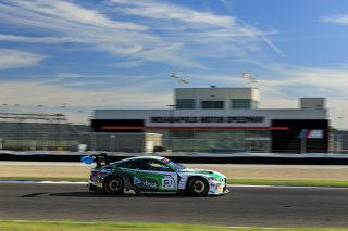#51 BMW M4 GT3 EVO of Varun Choksey / Bill Auberlen / Philipp Eng, Random Vandals Racing, Indy 8H, IGTC, Pro, SRO America, Indianapolis Motor Speedway, Indianapolis, IN, Oct 16&ndash;19, 2025
 | Fabian Lagunas | www.lagunasphotography.com | For SRO Motorsports Group 2025