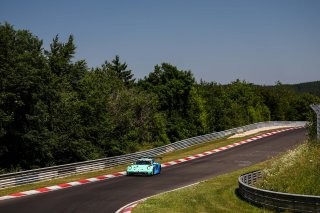 53. ADAC RAVENOL 24h N&uuml;rburgring 2025 - Foto: Gruppe C Photography ; #33 Porsche 911 GT3 R (992), Falken Motorsports: Julien Andlauer, Nico Menzel, Sven M&uuml;ller, Alessio Picariello
 | Gruppe C Photography