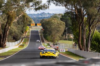 12h Bathurst 2026 -  Meguiar&rsquo;s Bathurst 12 Hour - Intercontinental GT Challenge Round 1 - Foto: Gruppe C Photography; #911 Porsche 911 GT3 R (992), Absolute Racing: Matt Campbell, Alessio Picariello, Bastian Buus
 | Gruppe C Photography