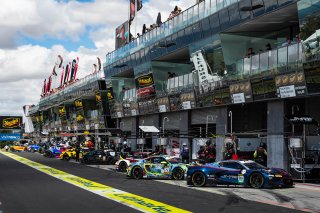 12h Bathurst 2026 -  Meguiar&rsquo;s Bathurst 12 Hour - Intercontinental GT Challenge Round 1 - Foto: Gruppe C Photography; #99 Chevrolet Corvette Z06 GT3.R, Johor Motorsports Racing JMR: Prince Jefri Ibrahim, Prince Abu Bakar Ibrahim, Ben Green, Jordan Love
 | Gruppe C Photography