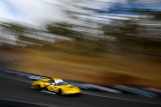 12h Bathurst 2026 -  Meguiar&rsquo;s Bathurst 12 Hour - Intercontinental GT Challenge Round 1 - Foto: Gruppe C Photography; #911 Porsche 911 GT3 R (992), Absolute Racing: Matt Campbell, Alessio Picariello, Bastian Buus
 | Gruppe C Photography