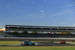 #61 Porsche 911 GT3 R (992) of Adrian D'Silva / Sven M&uuml;ller / Ricardo Feller, EBM, Indy 8H, IGTC IC, Pro, SRO America, Indianapolis Motor Speedway, Indianapolis, IN, Oct 16&ndash;19, 2025
 | Fabian Lagunas | www.lagunasphotography.com | For SRO Motorsports Group 2025