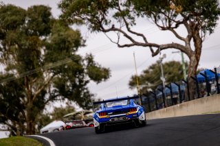 12h Bathurst 2026 -  Meguiar&rsquo;s Bathurst 12 Hour - Intercontinental GT Challenge Round 1 - Foto: Gruppe C Photography; #64 Ford Mustang GT3, HRT Ford Racing: Dennis Olsen, Christopher Mies, Broc Feeney
 | Gruppe C Photography