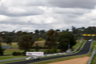 12h Bathurst 2026 -  Meguiar&rsquo;s Bathurst 12 Hour - Intercontinental GT Challenge Round 1 - Foto: Gruppe C Photography; #99 Chevrolet Corvette Z06 GT3.R, Johor Motorsports Racing JMR: Prince Jefri Ibrahim, Prince Abu Bakar Ibrahim, Ben Green, Jordan Love
 | Gruppe C Photography