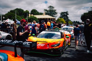 12h Bathurst 2025 -  Meguiar&rsquo;s Bathurst 12 Hour - Intercontinental GT Challenge Round 1 - Foto: Gruppe C Photography; #36 Ferrari 296 GT3, Arise Racing GT: A. Rovera, J. Evans, E. Schutte, B. Schumacher
 | Gruppe C Photography