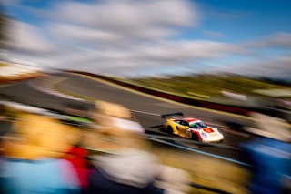 12h Bathurst 2025 -  Meguiar&rsquo;s Bathurst 12 Hour - Intercontinental GT Challenge Round 1 - Foto: Gruppe C Photography; #91 Porsche 911 GT3 R (992), The Bend: Yasser Shahin, Sam Shahin, Laurin Heinrich, Morris Schuring
 | Gruppe C Photography