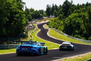 53. ADAC RAVENOL 24h N&uuml;rburgring 2025 - Foto: Gruppe C Photography; #44 Porsche 911 GT3 R (992), Falken Motorsports: Dorian Boccolacci, Tim Heinemann, Dennis Marschall, Morris Schuring
 | Gruppe C Photography