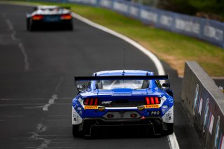 12h Bathurst 2026 -  Meguiar&rsquo;s Bathurst 12 Hour - Intercontinental GT Challenge Round 1 - Foto: Gruppe C Photography; #64 Ford Mustang GT3, HRT Ford Racing: Dennis Olsen, Christopher Mies, Broc Feeney
 | Gruppe C Photography