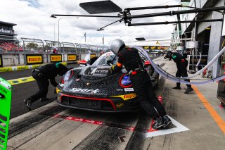 12h Bathurst 2026 -  Meguiar&rsquo;s Bathurst 12 Hour - Intercontinental GT Challenge Round 1 - Foto: Gruppe C Photography; #61 Porsche 911 GT3 R (992), EBM: Ricardo Feller, Laurin Heinrich, Klaus Bachler
 | SRO Motorsports Group