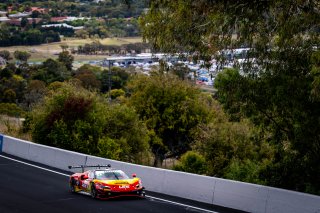 12h Bathurst 2025 -  Meguiar&rsquo;s Bathurst 12 Hour - Intercontinental GT Challenge Round 1 - Foto: Gruppe C Photography; #36 Ferrari 296 GT3, Arise Racing GT: Alessio Rovera, Jaxon Evans, Elliot Schutte, Brad Schumacher
 | Gruppe C Photography