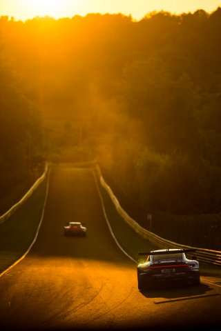 53. ADAC RAVENOL 24h N&uuml;rburgring 2025 - Foto: Gruppe C Photography; #44 Porsche 911 GT3 R (992), Falken Motorsports: Dorian Boccolacci, Tim Heinemann, Dennis Marschall, Morris Schuring
 | Gruppe C Photography