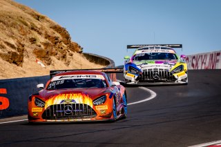 12h Bathurst 2025 -  Meguiar&rsquo;s Bathurst 12 Hour - Intercontinental GT Challenge Round 1 - Foto: Gruppe C Photography; #75 Mercedes-AMG GT3, SunEnergy1 Racing: Kenny Habul, Jules Gounon, Luca Stolz
 | Gruppe C Photography