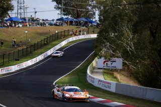 12h Bathurst 2026 -  Meguiar&rsquo;s Bathurst 12 Hour - Intercontinental GT Challenge Round 1 - Foto: Gruppe C Photography; #193 Ferrari 296 GT3, Ziggo Sport Tempesta by ARGT: Ryan Wood, Christopher Froggatt, Jonathan Hui, Lorenzo Patrese
 | Gruppe C Photography