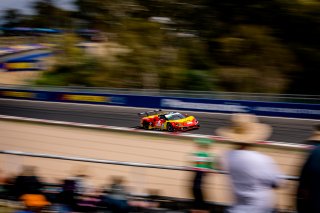 12h Bathurst 2025 -  Meguiar&rsquo;s Bathurst 12 Hour - Intercontinental GT Challenge Round 1 - Foto: Gruppe C Photography; #36 Ferrari 296 GT3, Arise Racing GT: Alessio Rovera, Jaxon Evans, Elliot Schutte, Brad Schumacher
 | Gruppe C Photography