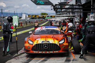 12h Bathurst 2026 -  Meguiar&rsquo;s Bathurst 12 Hour - Intercontinental GT Challenge Round 1 - Foto: Gruppe C Photography; #75 Mercedes-AMG GT3 EVO, 75 Express: Kenny Habul, Luca Stolz, Jules Gounon
 | Gruppe C Photography