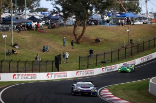 12h Bathurst 2026 -  Meguiar&rsquo;s Bathurst 12 Hour - Intercontinental GT Challenge Round 1 - Foto: Gruppe C Photography; #99 Chevrolet Corvette Z06 GT3.R, Johor Motorsports Racing JMR: Prince Jefri Ibrahim, Prince Abu Bakar Ibrahim, Ben Green, Jordan Love
 | Gruppe C Photography