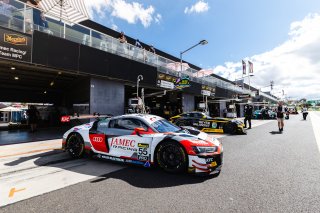 12h Bathurst 2026 -  Meguiar&rsquo;s Bathurst 12 Hour - Intercontinental GT Challenge Round 1 - Foto: Gruppe C Photography; #55 Audi RB LMS GT3 Evo II, Jamec Racing/Team MPC: Brad Schumacher, Christopher Haase, Will Brown
 | SRO Motorsports Group