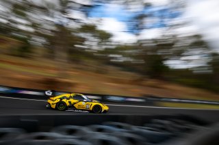 12h Bathurst 2026 -  Meguiar&rsquo;s Bathurst 12 Hour - Intercontinental GT Challenge Round 1 - Foto: Gruppe C Photography; #911 Porsche 911 GT3 R (992), Absolute Racing: Matt Campbell, Alessio Picariello, Bastian Buus
 | Gruppe C Photography
